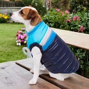 🐾 Dog Jacket Show & Tail "The Bundled Bark", XL